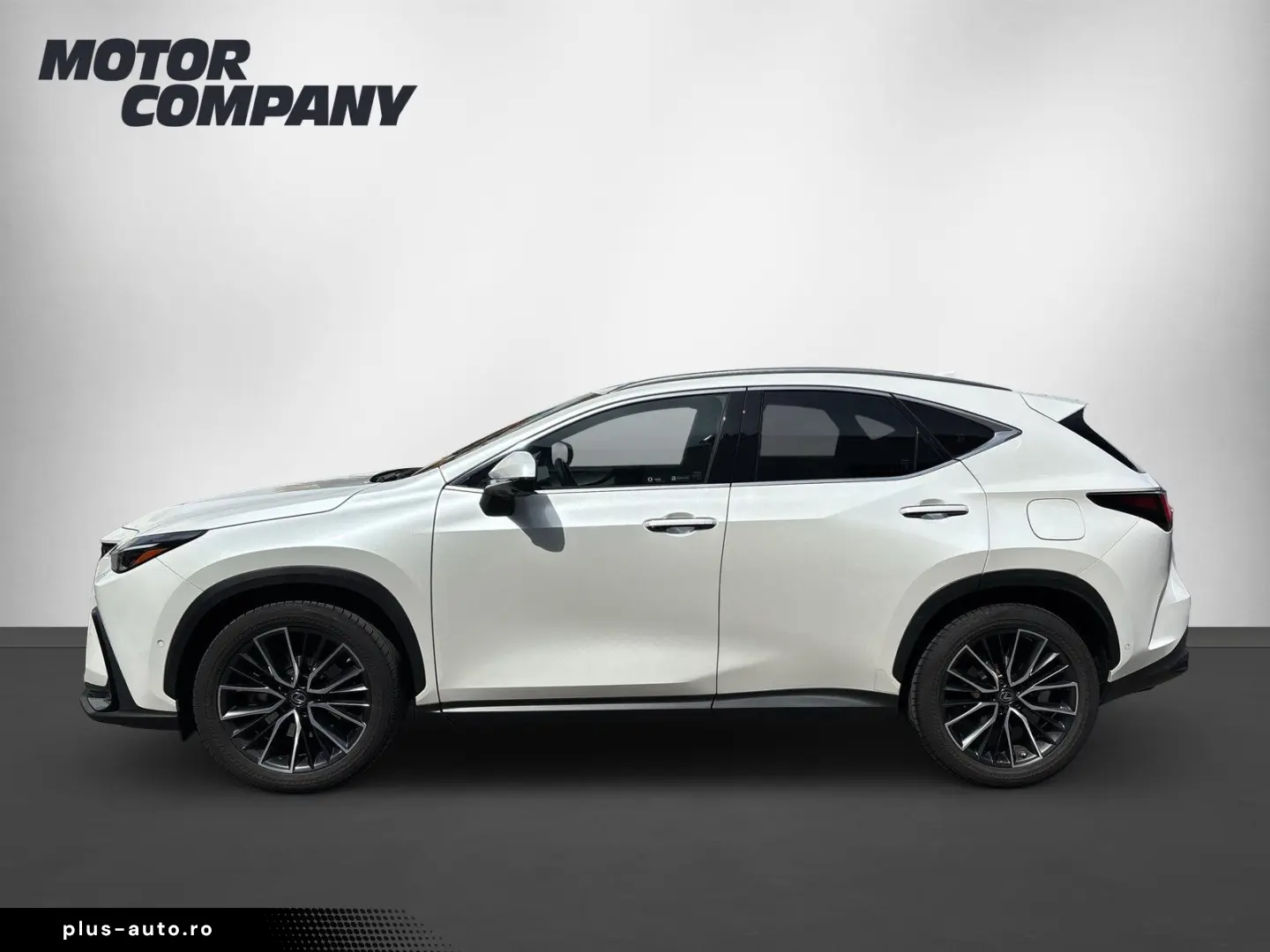 LEXUS NX 450h  LUXURY   Park-Assistent Plus