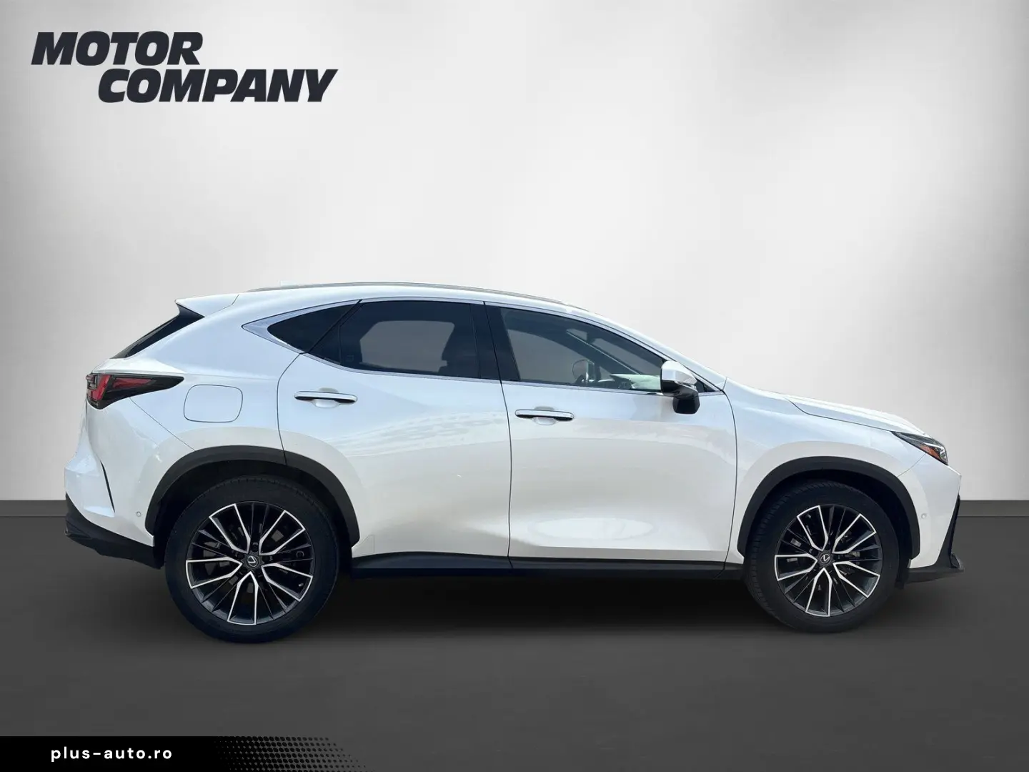 LEXUS NX 450h  LUXURY   Park-Assistent Plus