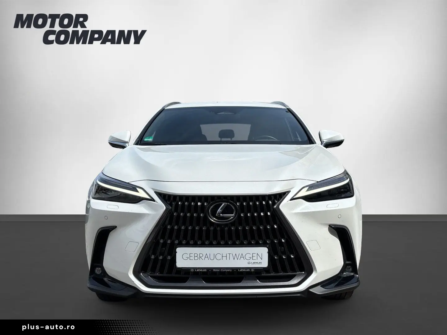 LEXUS NX 450h  LUXURY   Park-Assistent Plus