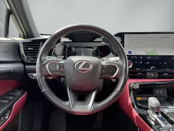 LEXUS NX 450h  LUXURY   Park-Assistent Plus
