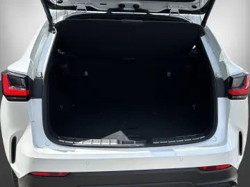 LEXUS NX 450h  LUXURY   Park-Assistent Plus