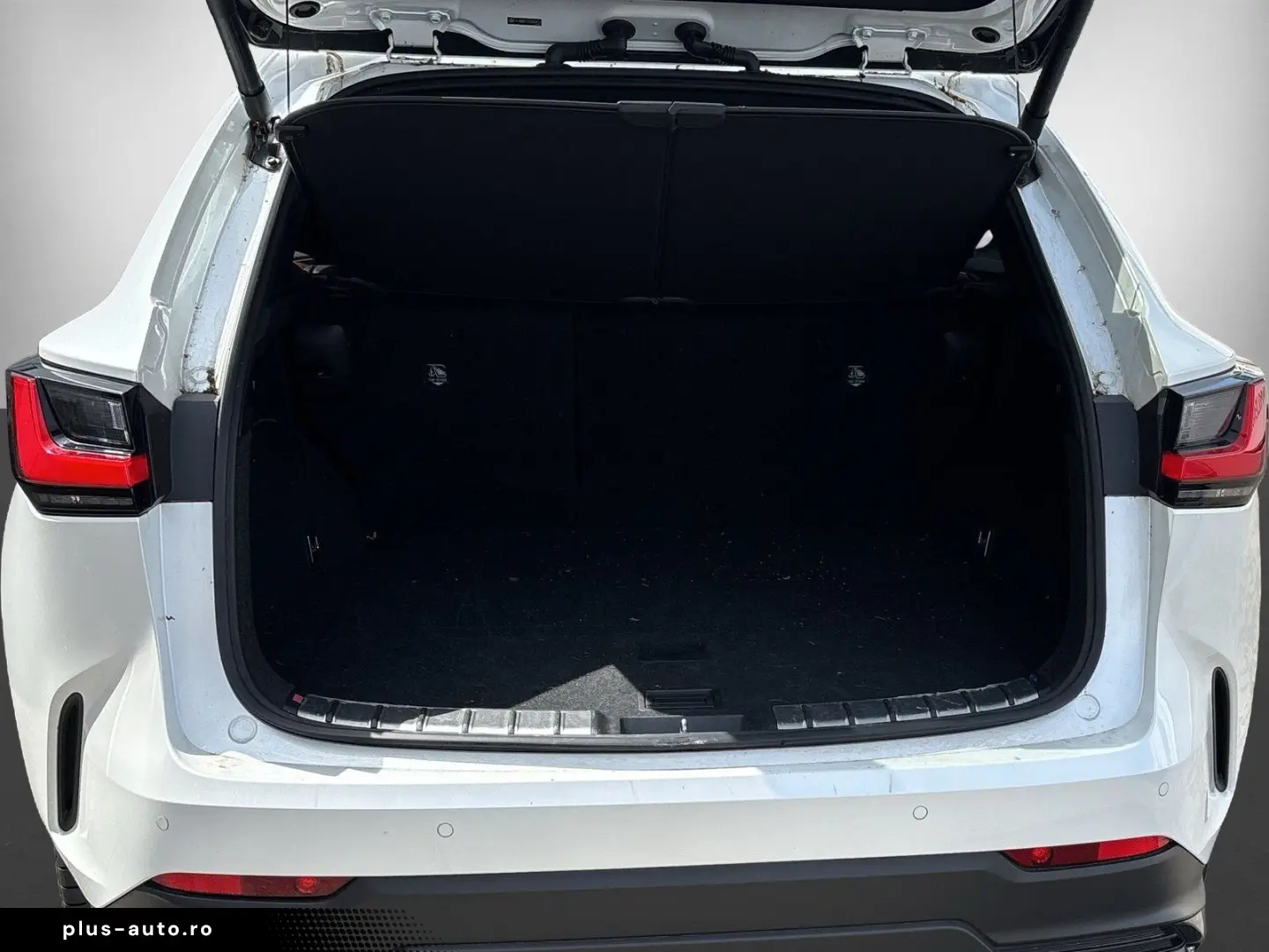 LEXUS NX 450h  LUXURY   Park-Assistent Plus