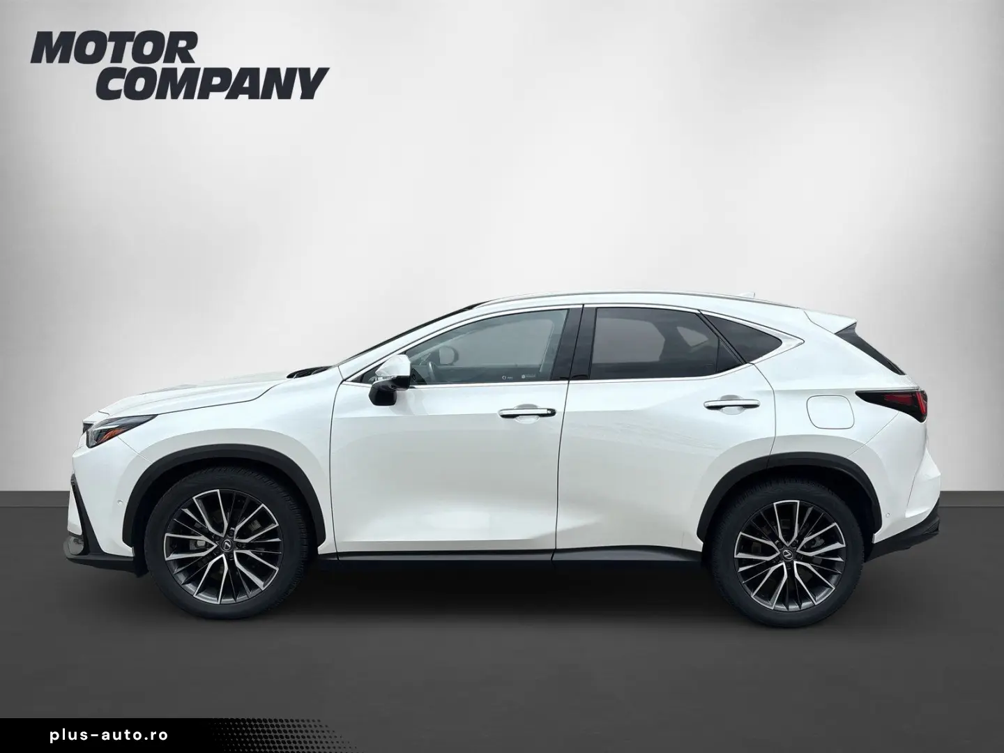 LEXUS NX 350h E-FOUR LUXURY   Panoramadach