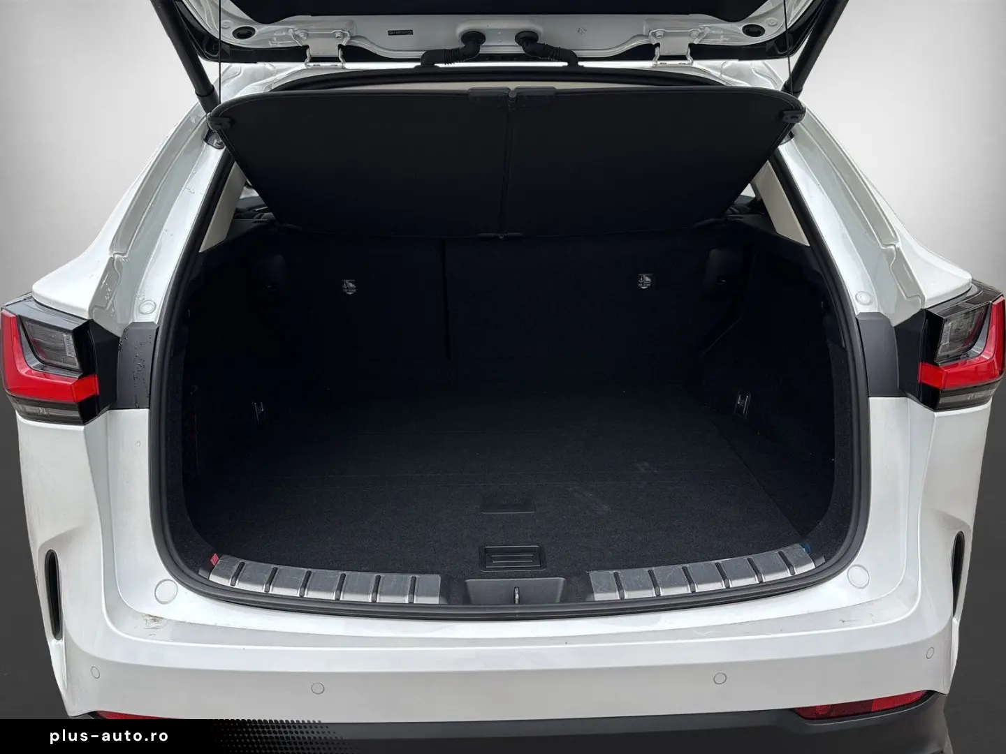 LEXUS NX 350h E-FOUR LUXURY   Panoramadach