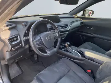LEXUS UX 250h Style Edition  Bi-LED ACC CAM SHZ CarPla