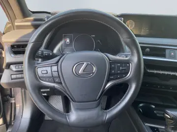 LEXUS UX 250h Style Edition  Bi-LED ACC CAM SHZ CarPla