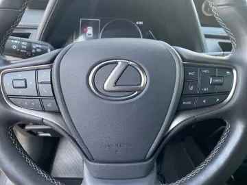 LEXUS UX 250h Style Edition  Bi-LED ACC CAM SHZ CarPla