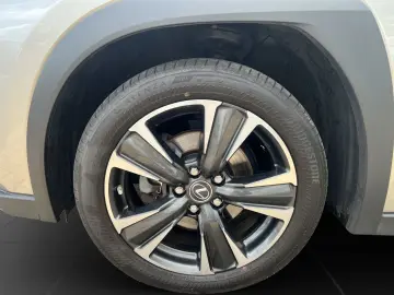 LEXUS UX 250h STYLE FACELIFT  ALLW. CARPLAY GARANTIE