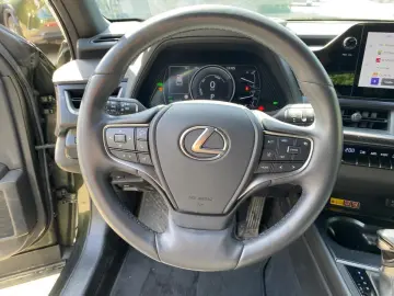 LEXUS UX 250 h Style Edition zuverlässiger GW