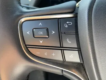 LEXUS UX 250 h Style Edition zuverlässiger GW