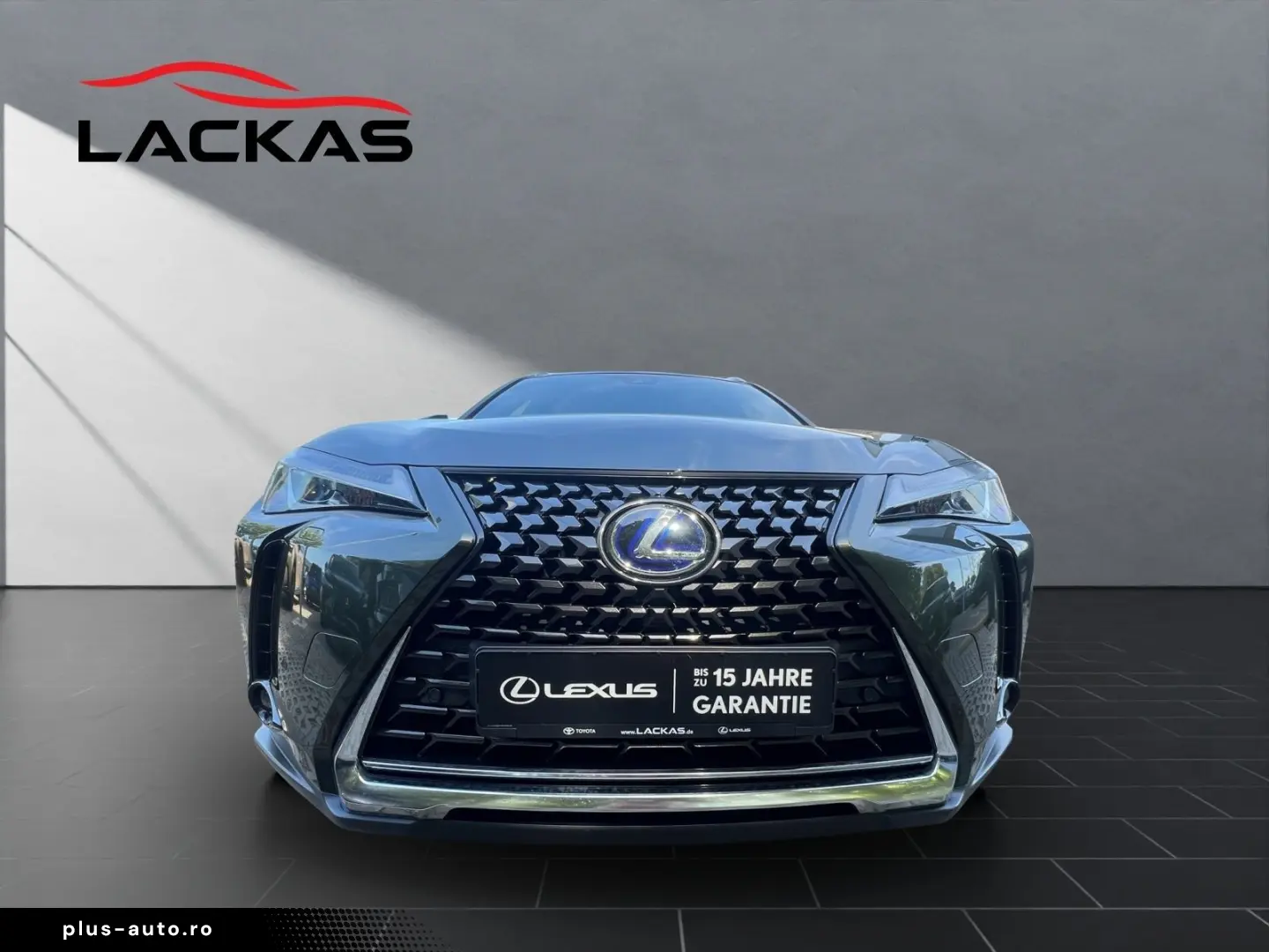 LEXUS UX 250h STYLE SHZ KAMERA PDC LED DAB CARPLAY 18