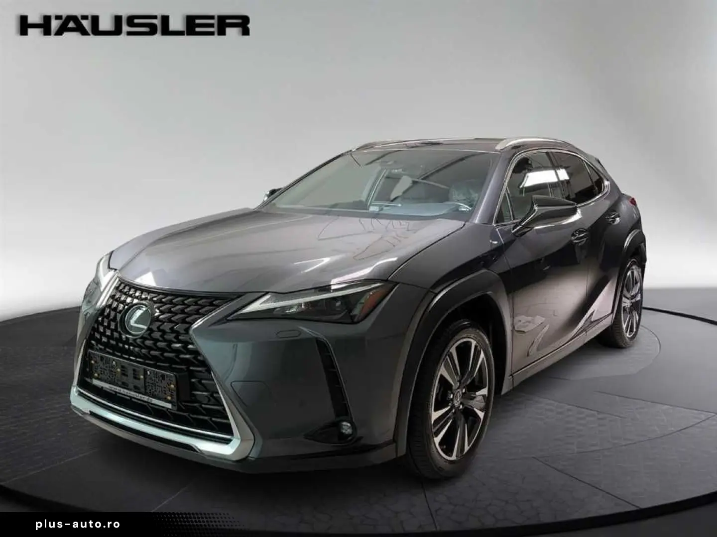 LEXUS UX 250h Style Edition Automatik PDC Navi Kamera