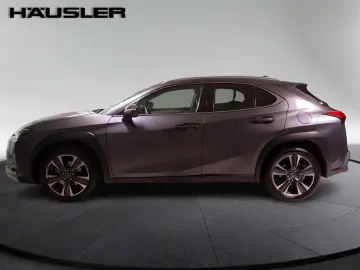 LEXUS UX 250h Style Edition Automatik PDC Navi Kamera