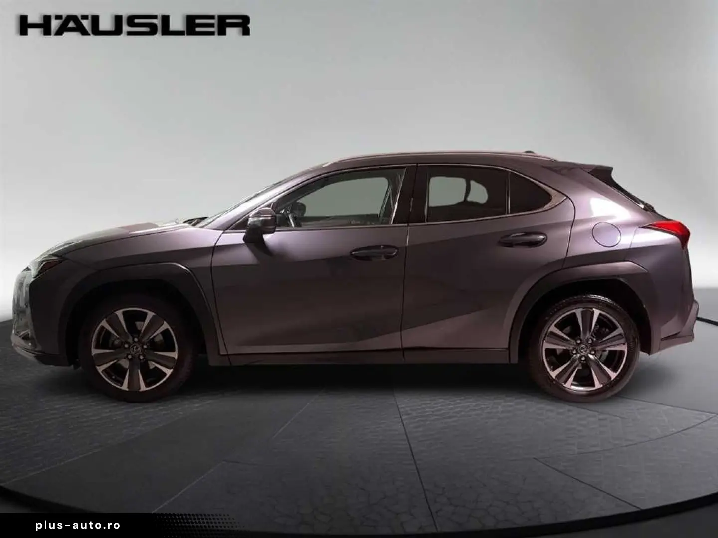 LEXUS UX 250h Style Edition Automatik PDC Navi Kamera