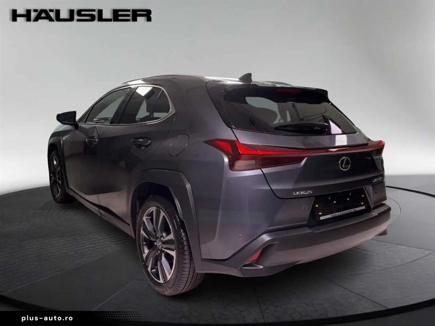 LEXUS UX 250h Style Edition Automatik PDC Navi Kamera