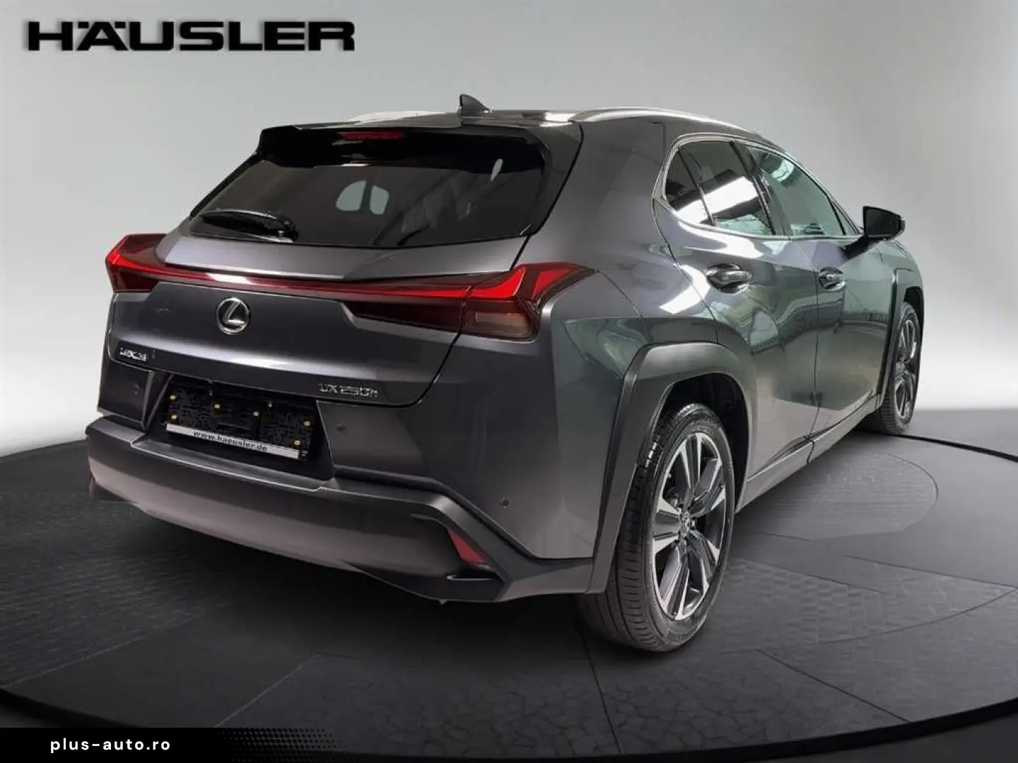 LEXUS UX 250h Style Edition Automatik PDC Navi Kamera