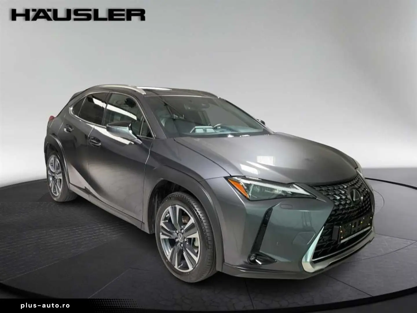 LEXUS UX 250h Style Edition Automatik PDC Navi Kamera