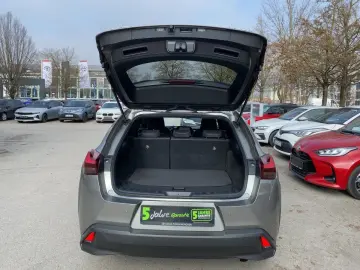 LEXUS UX 250 h Style Edition zuverlässiger Crossover