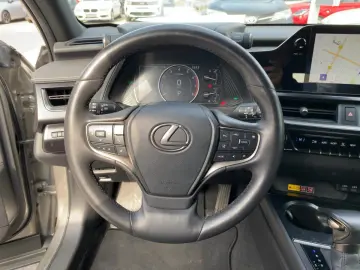 LEXUS UX 250 h Style Edition zuverlässiger Crossover