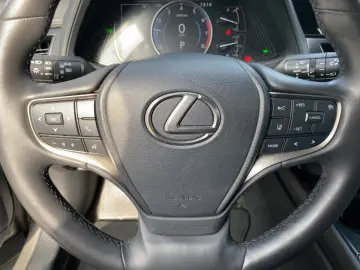 LEXUS UX 250 h Style Edition zuverlässiger Crossover