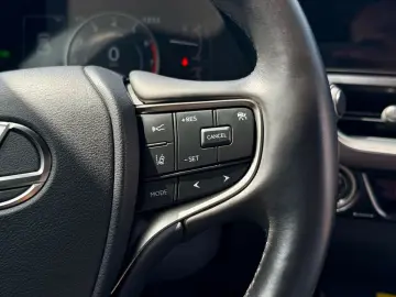 LEXUS UX 250h F-SPORT ACC RFK Car-Play 15J-GARANTIE