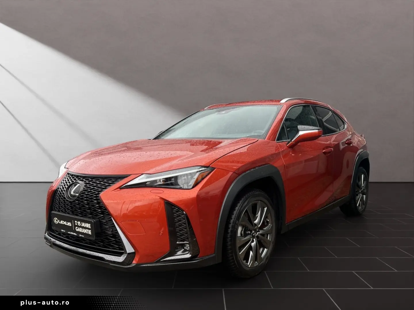 LEXUS UX 250h F-SPORT-D 1.HD ALLW.REIF SHZ  NAVI CARP