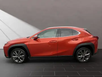 LEXUS UX 250h F-SPORT-D 1.HD ALLW.REIF SHZ  NAVI CARP