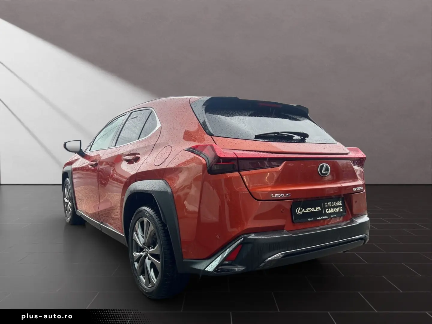 LEXUS UX 250h F-SPORT-D 1.HD ALLW.REIF SHZ  NAVI CARP