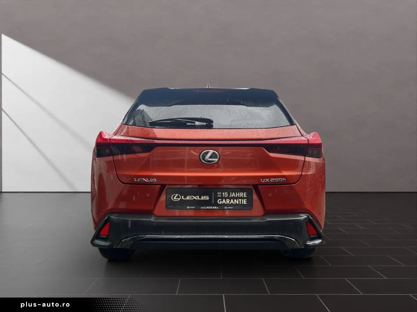 LEXUS UX 250h F-SPORT-D 1.HD ALLW.REIF SHZ  NAVI CARP