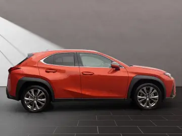 LEXUS UX 250h F-SPORT-D 1.HD ALLW.REIF SHZ  NAVI CARP