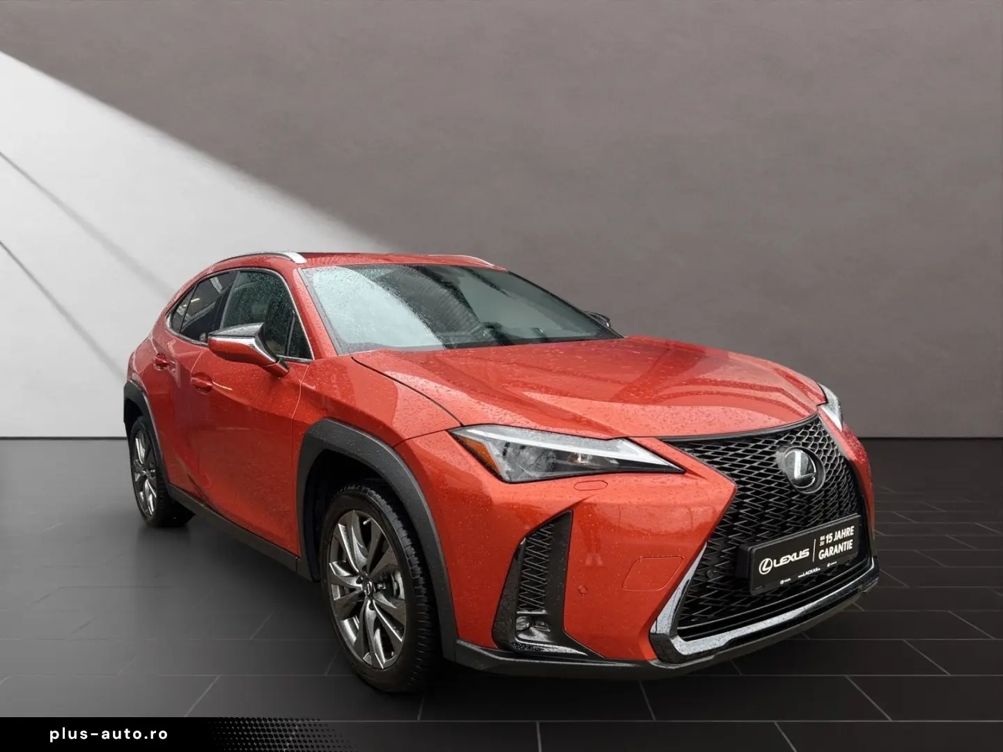 LEXUS UX 250h F-SPORT-D 1.HD ALLW.REIF SHZ  NAVI CARP