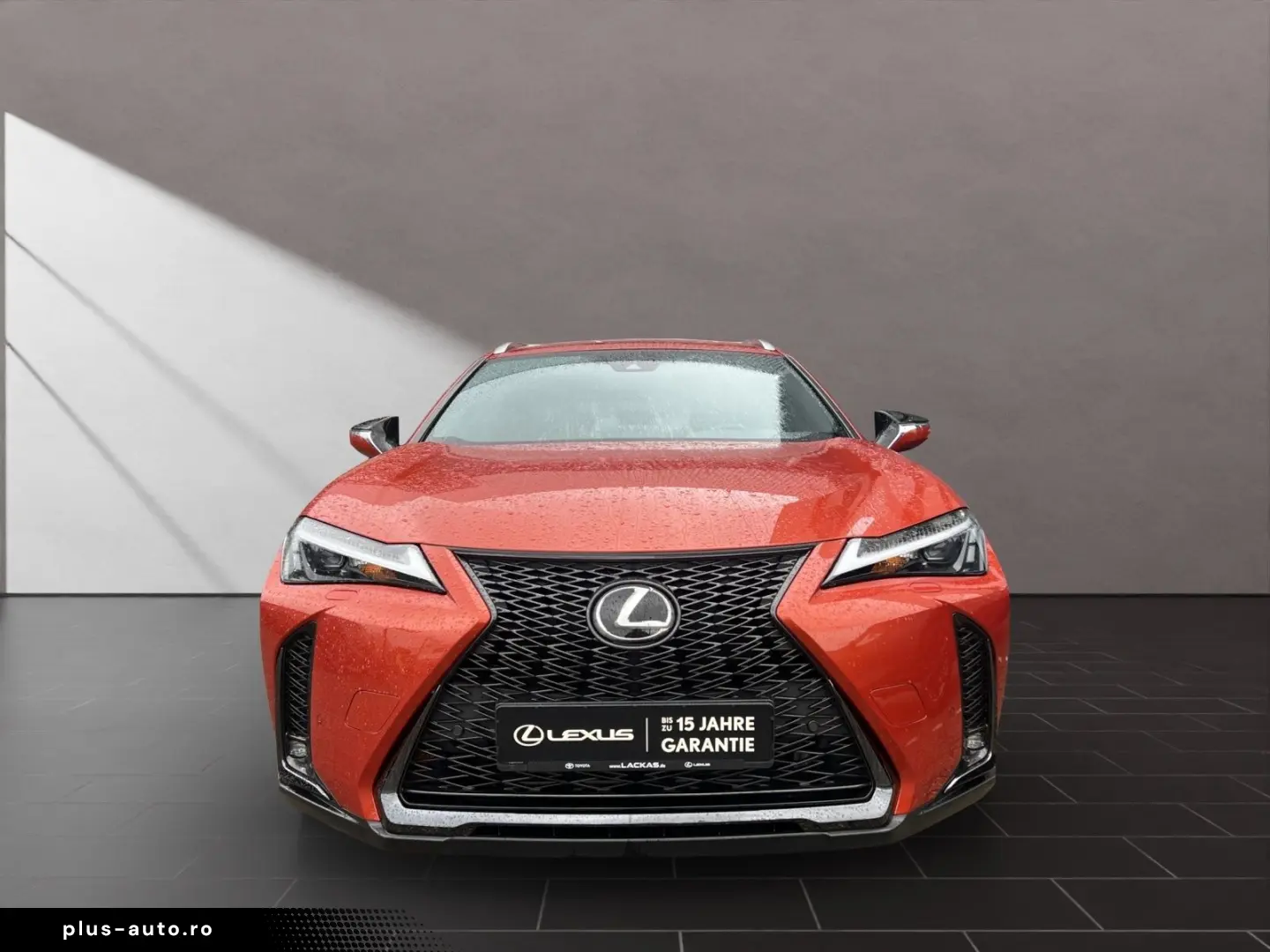 LEXUS UX 250h F-SPORT-D 1.HD ALLW.REIF SHZ  NAVI CARP