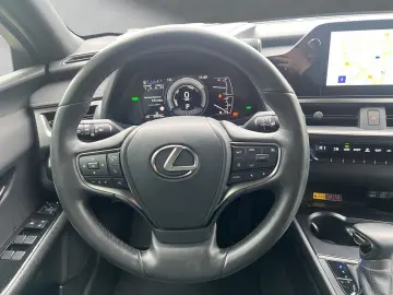 LEXUS UX 250h F-SPORT-D 1.HD ALLW.REIF SHZ  NAVI CARP