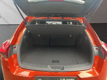 LEXUS UX 250h F-SPORT-D 1.HD ALLW.REIF SHZ  NAVI CARP