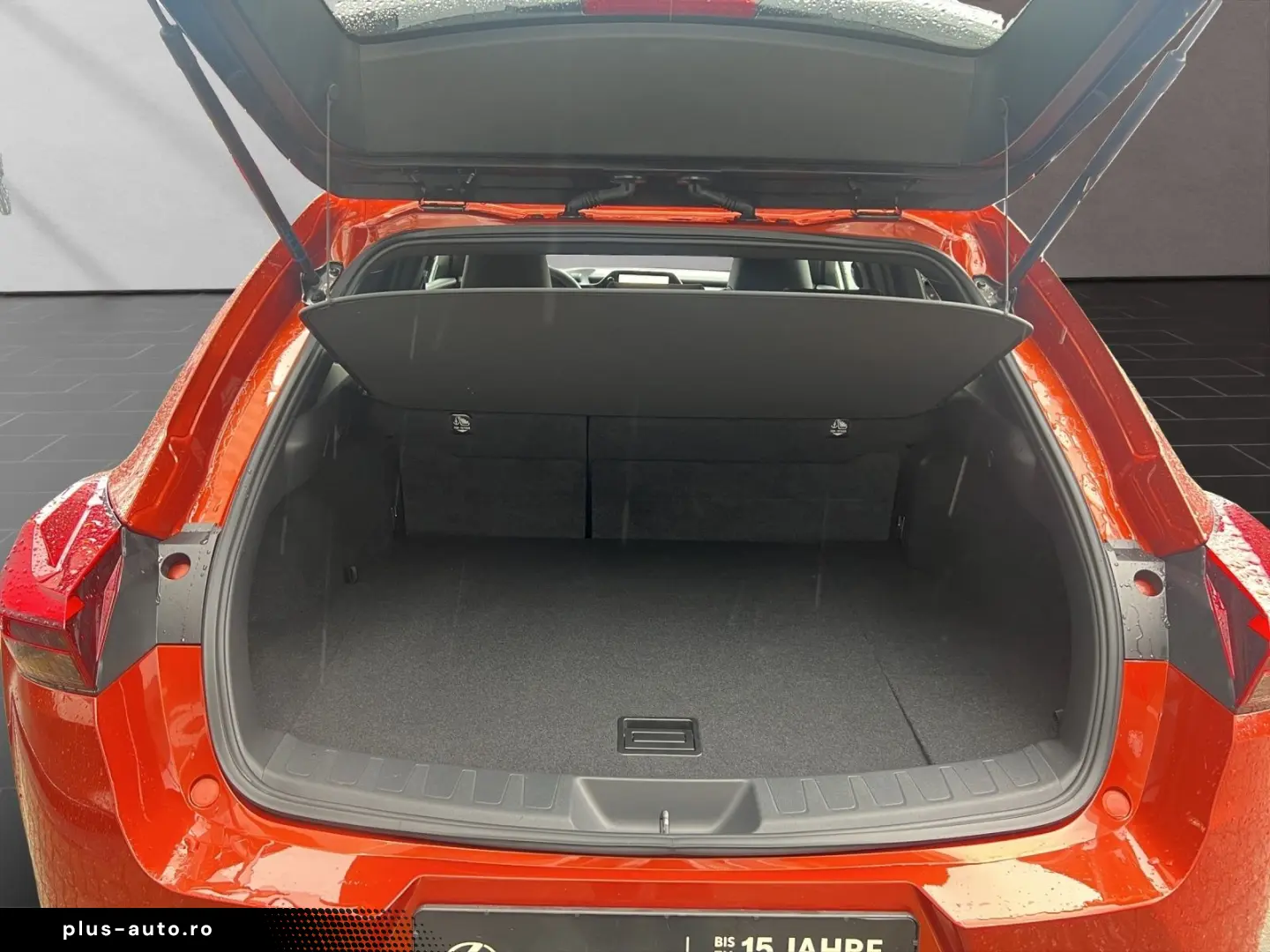 LEXUS UX 250h F-SPORT-D 1.HD ALLW.REIF SHZ  NAVI CARP