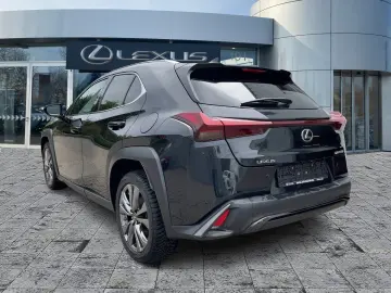 LEXUS UX 250h F Sport Design Navi ACC KAM SHZ DAB