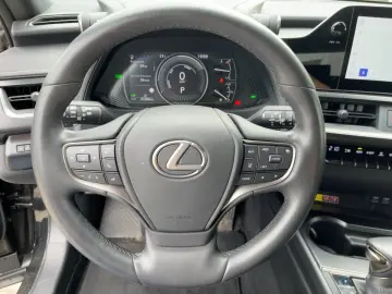 LEXUS UX 250h F Sport Design Navi ACC KAM SHZ DAB