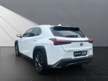 LEXUS UX 250h FSPORT-D 1.HD CARPLAY PDC  15J-GARANTIE