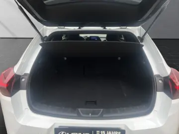 LEXUS UX 250h FSPORT-D 1.HD CARPLAY PDC  15J-GARANTIE