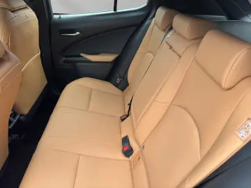 LEXUS UX 250h FSPORT-D 1HD ALLWR CARPLAY  15J-GARANTIE