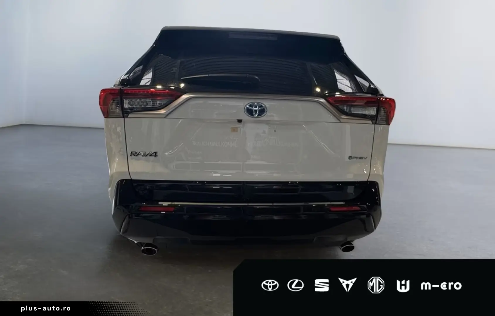TOYOTA RAV 4 Plug-in-Hybrid Teamplayer