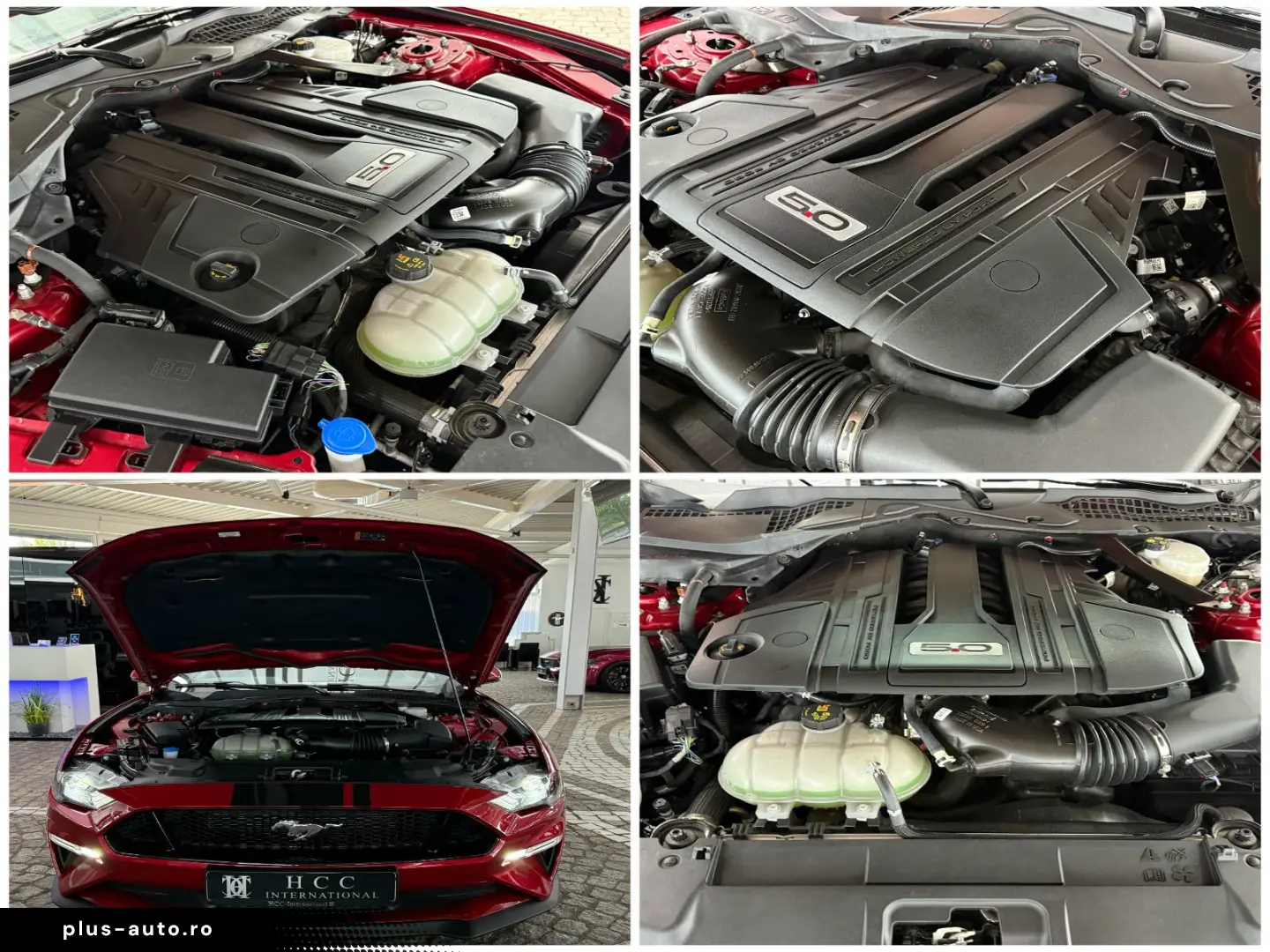 FORD Mustang GT V8 Autom.   UNFALLFREI   1.Hand   Top