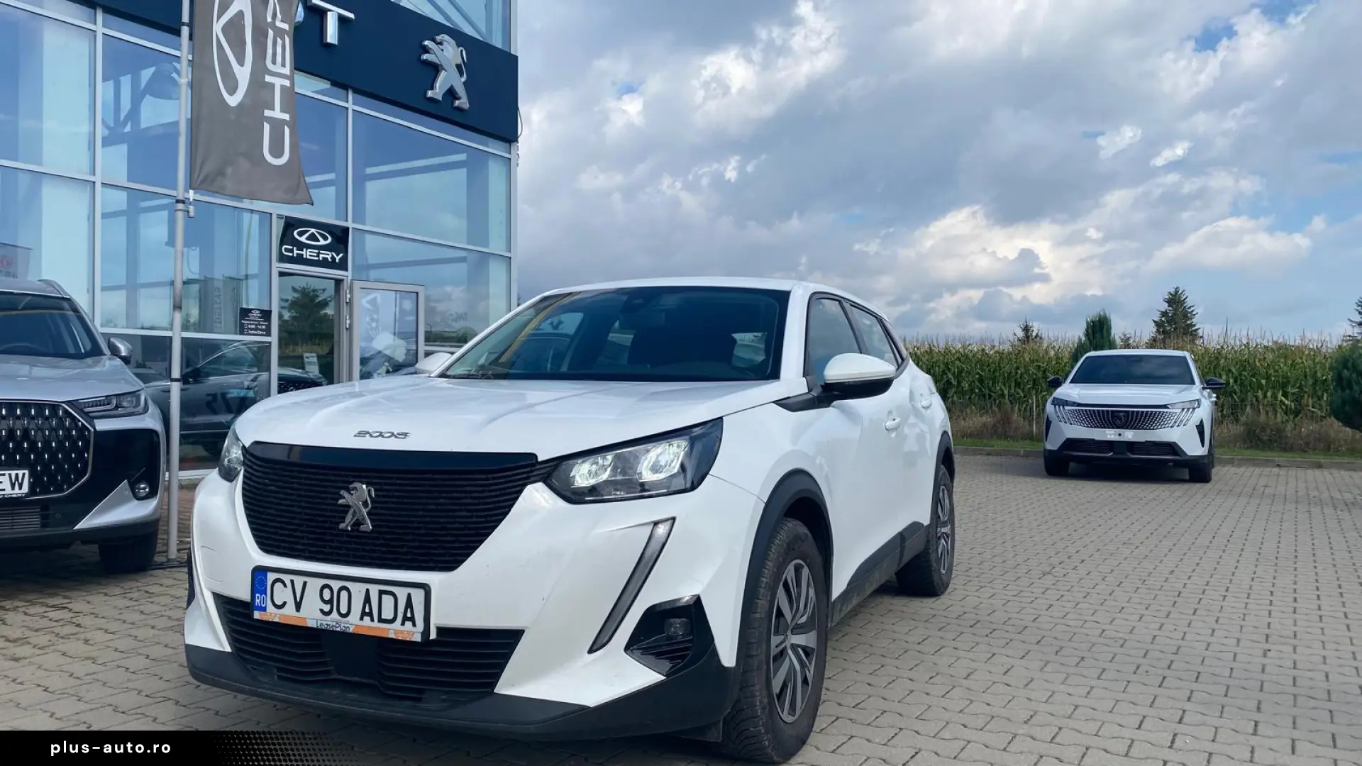 PEUGEOT 2008 2020