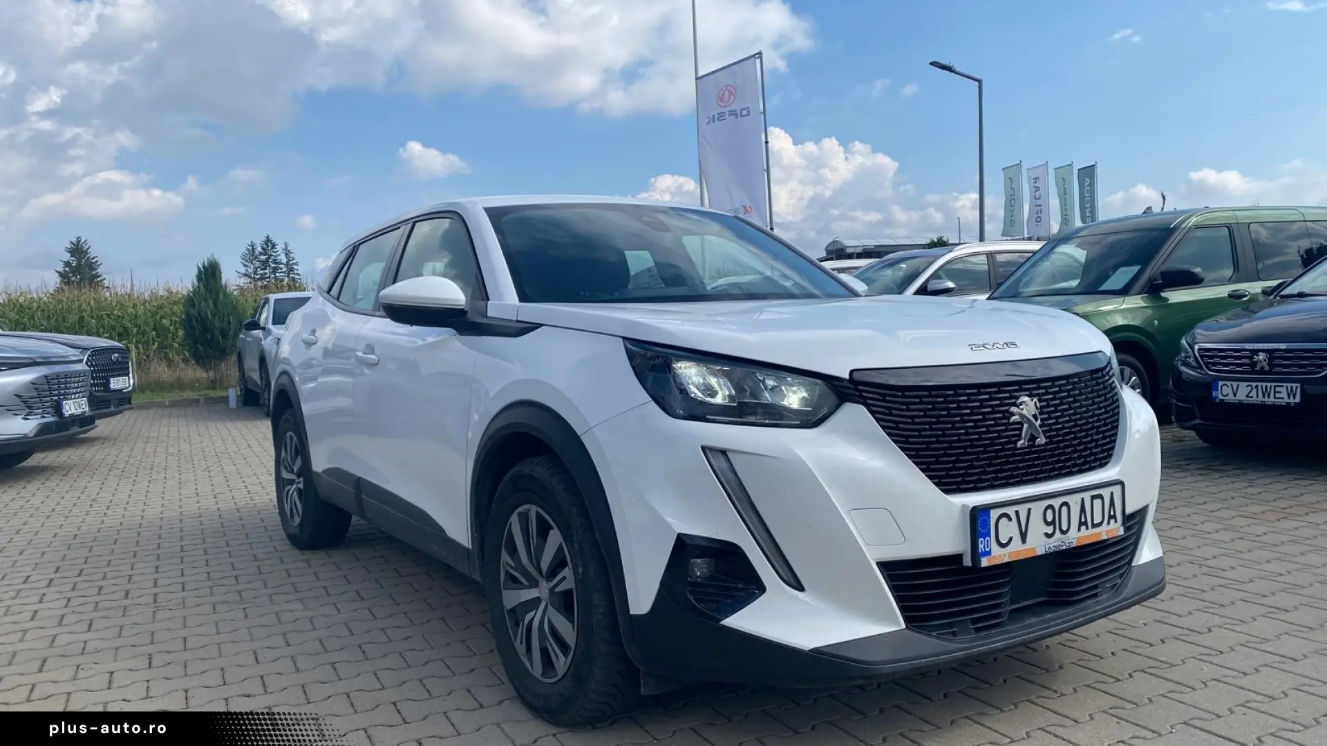 PEUGEOT 2008 2020
