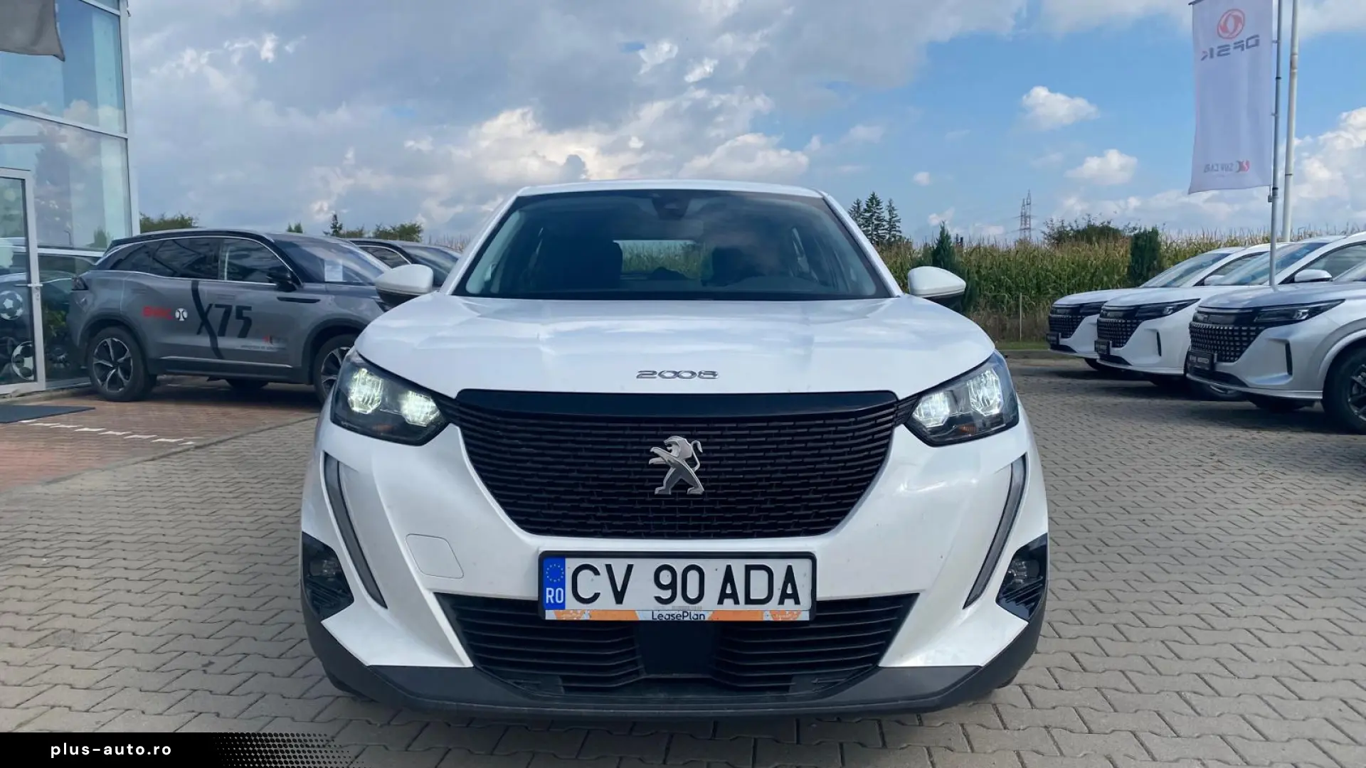 PEUGEOT 2008 2020