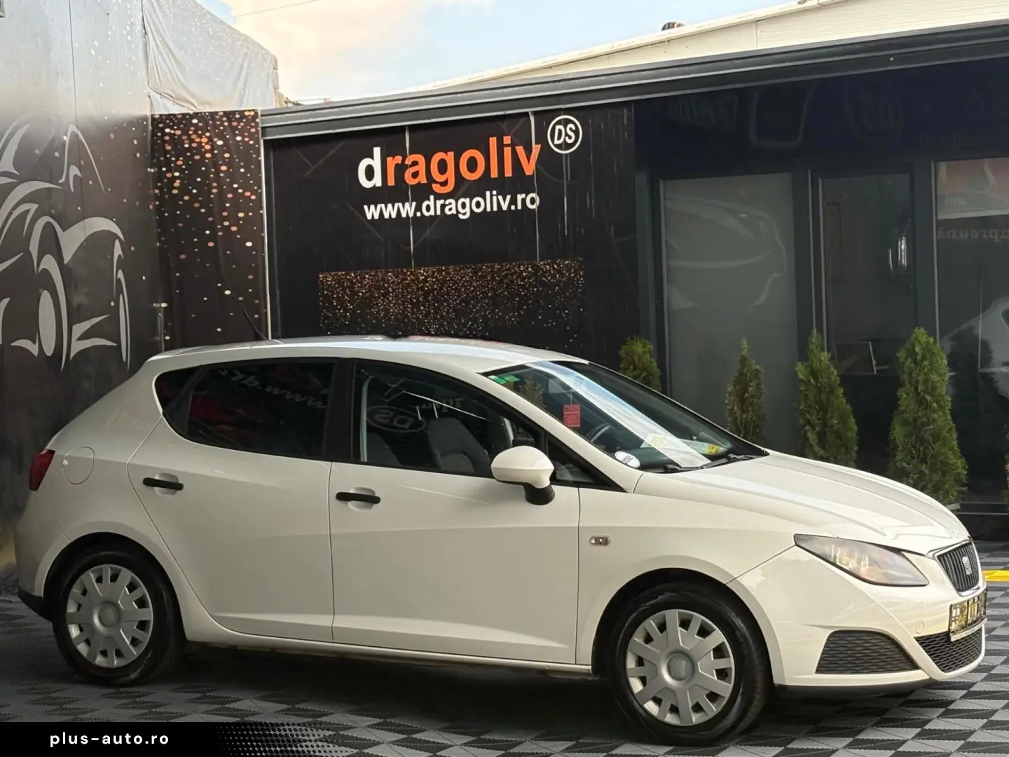 Seat Ibiza 2009