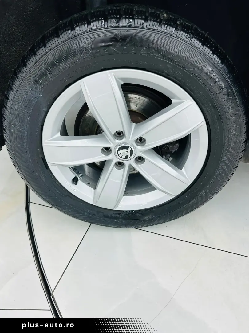 SKODA KODIAQ 2019 2.0D E6 7 Locuri Garantie 12 Luni Rate Ava