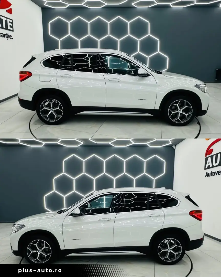 BMW X1 2017 2.0D E6 Garantie 12 Luni Rate Avans 0 Doar Cu Bu