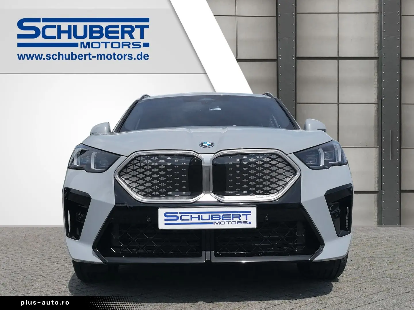 BMW iX2 xDrive30 M SPORT ICONIC GLOW H K 360GRAD MEM
