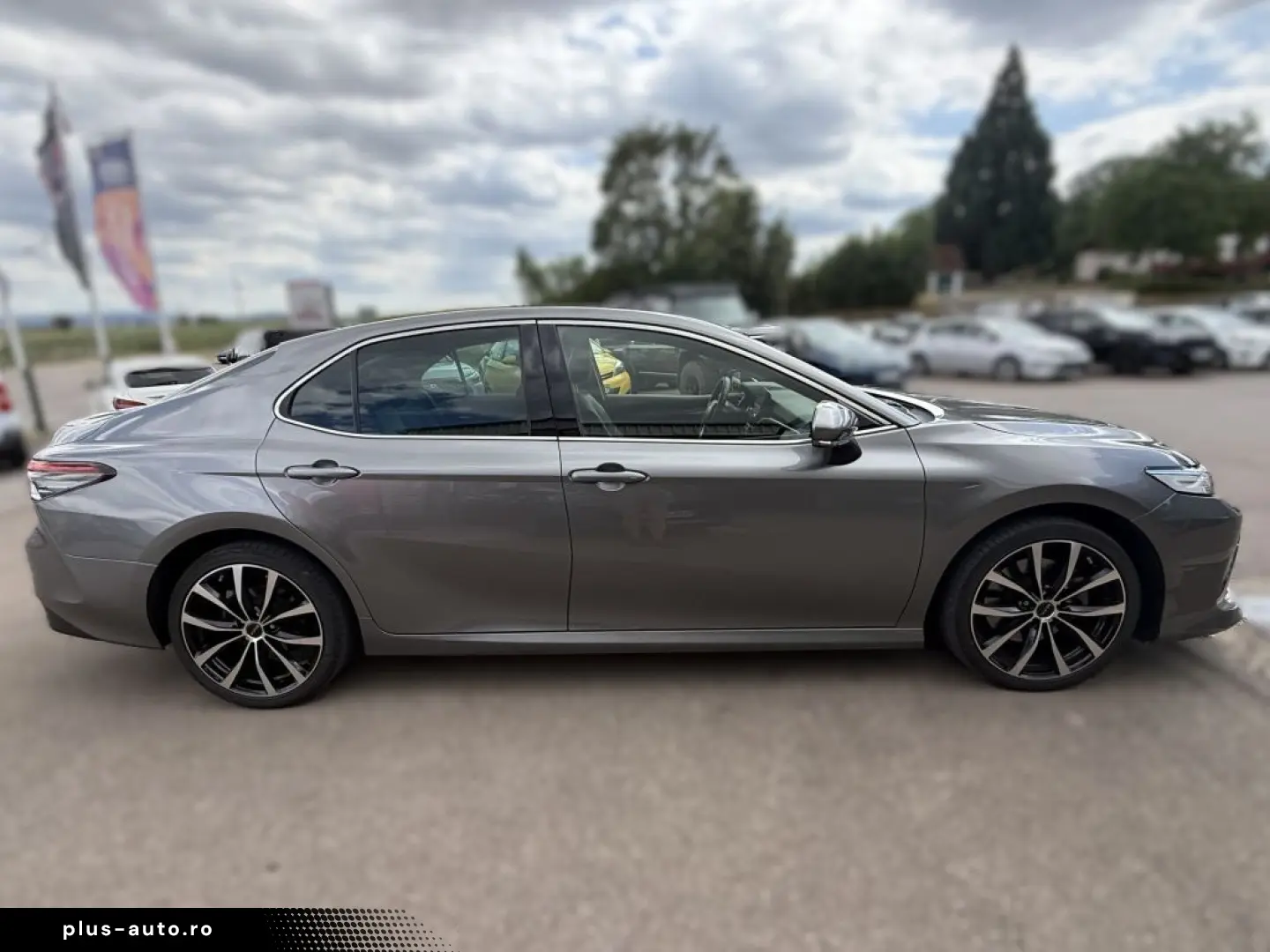 TOYOTA Camry Luxury